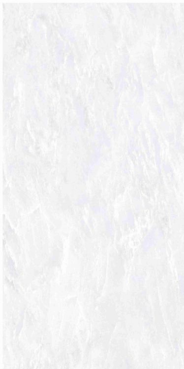 OL Vivid White Matte 12 x 24